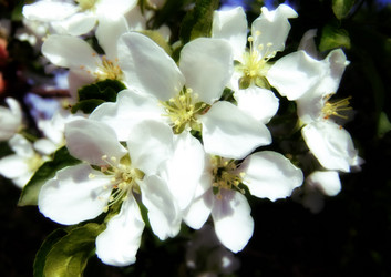 Similar image 6277543