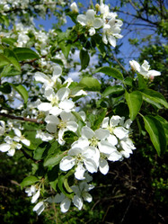 Similar image 6277544