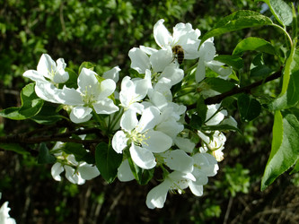 Similar image 6277549