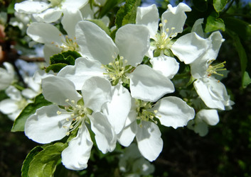 Similar image 6277550