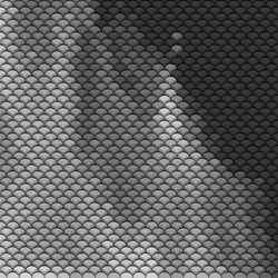 Similar image 6277617