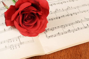 Similar image 6277656