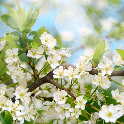 Similar image 6277669