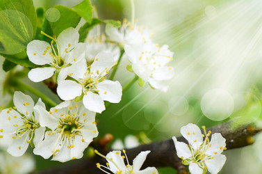 Similar image 6277670