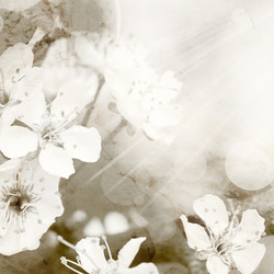 Similar image 6277672