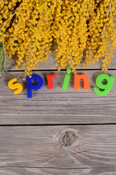 Similar image 6277693