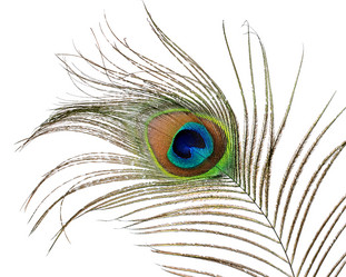 Similar image 6277709