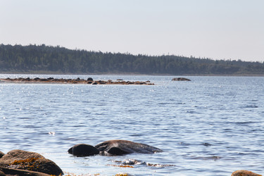 Similar image 6278001