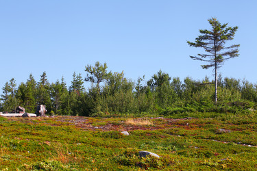 Similar image 6278023