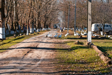 Similar image 6278057