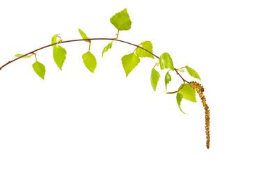 Similar image 6278063