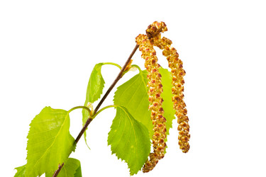 Similar image 6278064