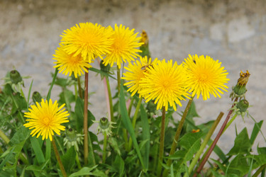 Similar image 6278068