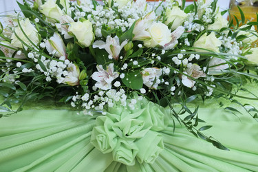 Similar image 6278110