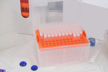 Similar image 6278208