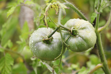 Similar image 6278407