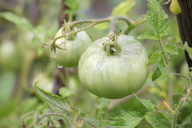 Similar image 6278443