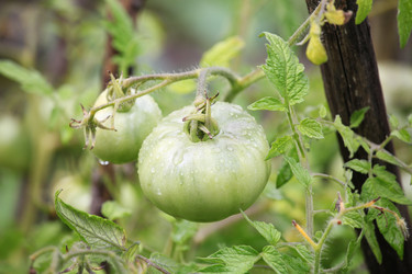 Similar image 6278446