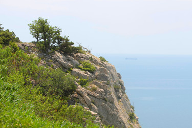 Similar image 6278467