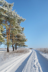 Similar image 6278497