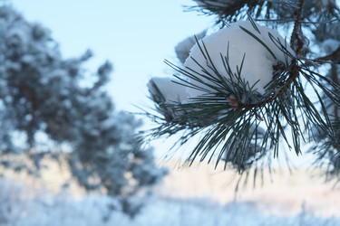 Similar image 6278514