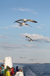 Similar image 6278543