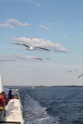 Similar image 6278544