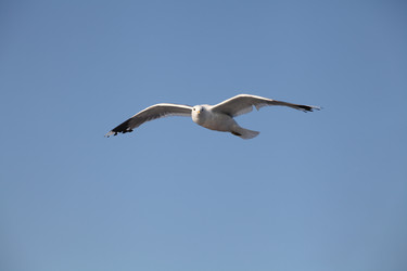 Similar image 6278600