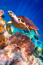 Similar image 6278861