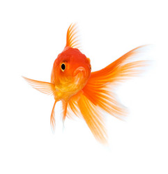 Similar image 6278910