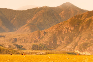 Similar image 6279052