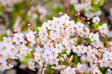 Similar image 6279058