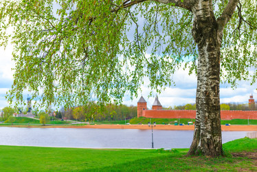 Similar image 6279064