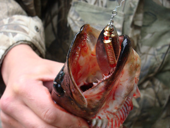 Similar image 6279102