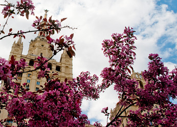 Similar image 6279106