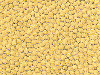 Similar image 6279125