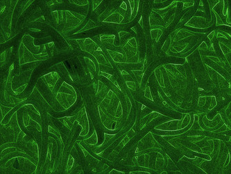 Similar image 6279146