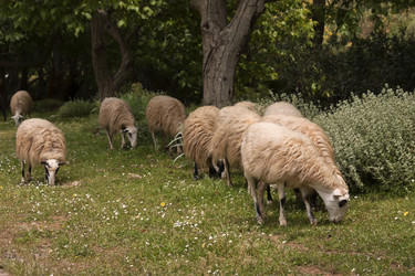 Similar image 6279157