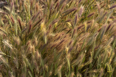 Similar image 6279163