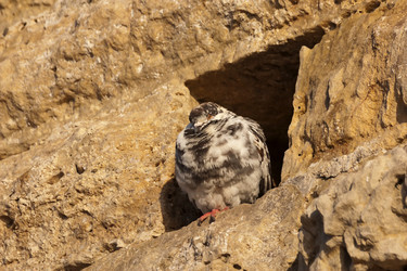 Similar image 6279165