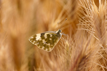 Similar image 6279170