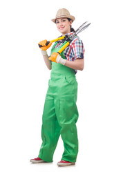 Similar image 6279900