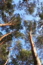 Similar image 6280348