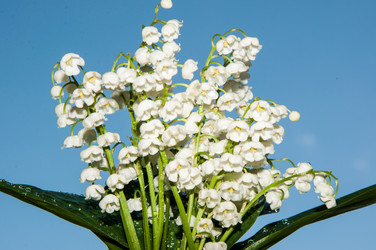 Similar image 6280351