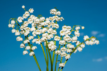 Similar image 6280353