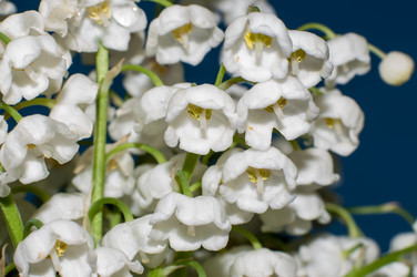 Similar image 6280354