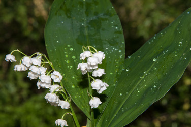 Similar image 6280355