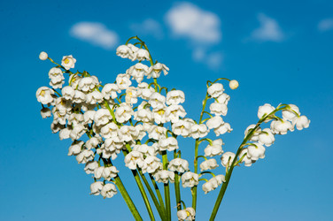 Similar image 6280359