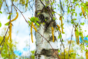 Similar image 6280575