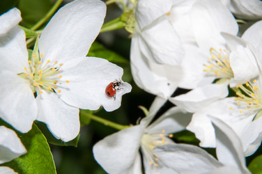 Similar image 6280595